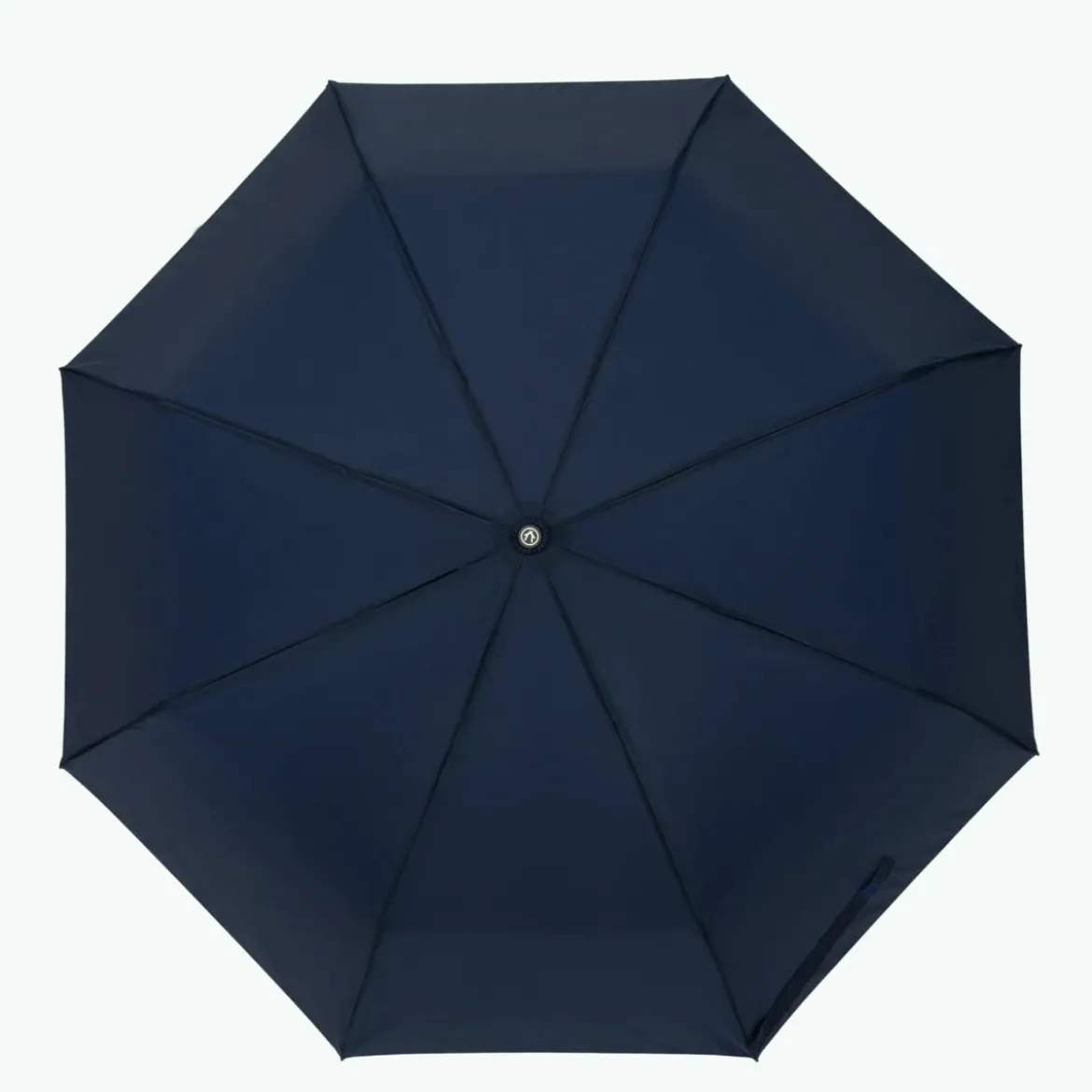 Parapluie Reykjavik