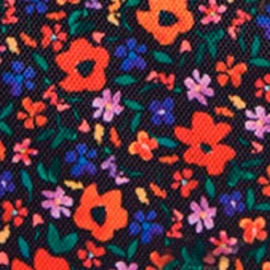 Pochette avant XS Indiana State Museum