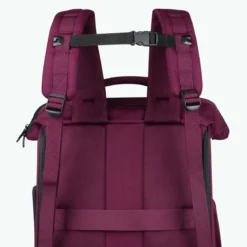 Sac à dos Adventurer pour Animaux Nice